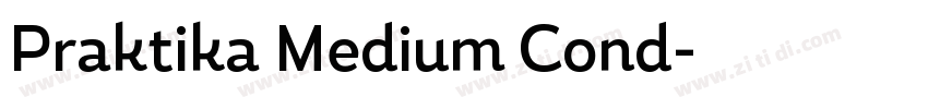 Praktika Medium Cond字体转换